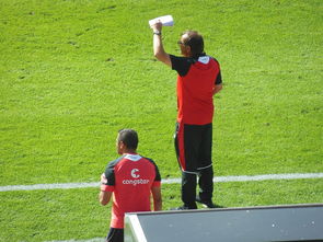 开云体育中国-马竞轻取热刺，卡瓦尼补时绝平世界杯