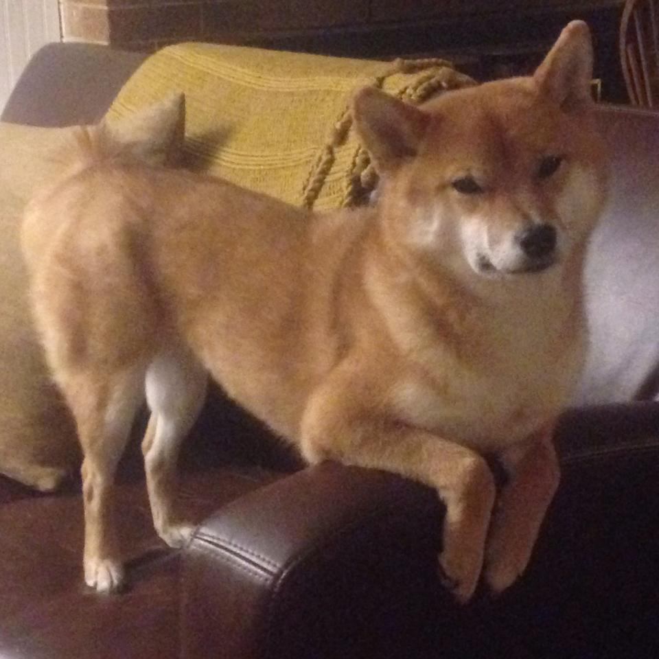 F1年度争冠之夜，赛道上的李刚仁式防守，如何锁死争冠悬念？